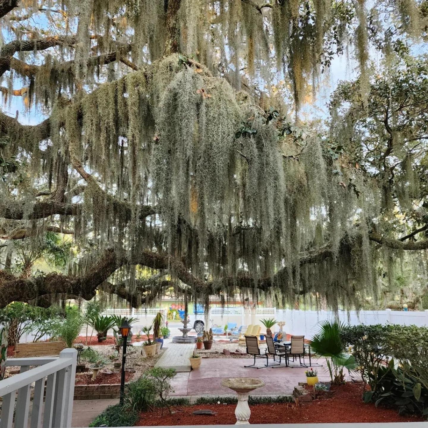 Tybee Island Inn Bed & Breakfast Buitenkant foto